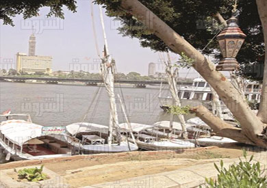 المراكب النيلية- تصوير مجدي إبراهيم